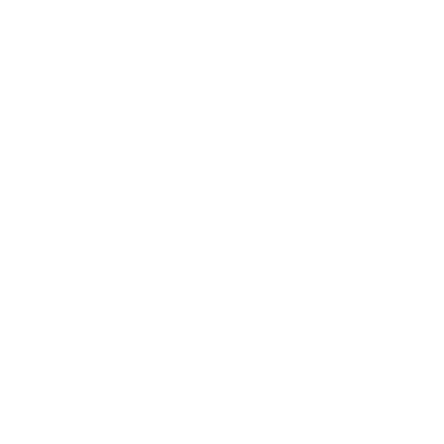 seo company in us